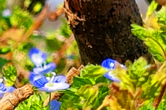 2019-03-31-13-34-51