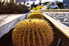 IMG_20180612_223059_865